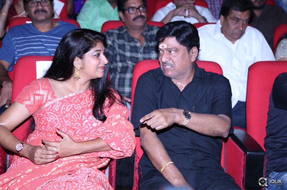 Srimanthudu-Movie-Thank-You-Function